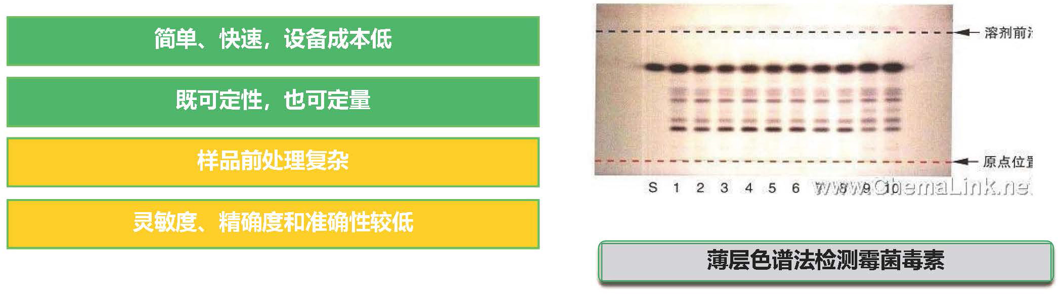 薄層分析法(TLC)