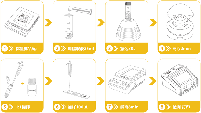 轉(zhuǎn)基因快速檢測流程