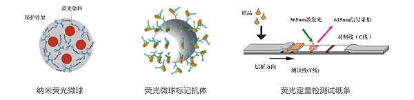 六六六熒光定量快速檢測卡/試紙條