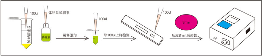 維生素B12熒光定量快速檢測(cè)試紙條操作流程